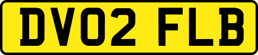 DV02FLB