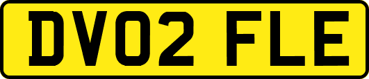 DV02FLE
