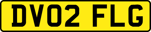 DV02FLG