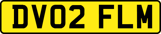 DV02FLM