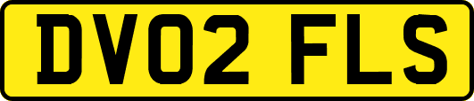 DV02FLS