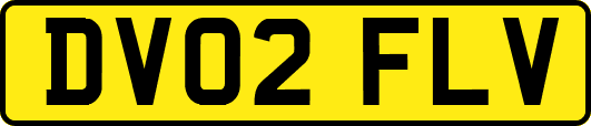 DV02FLV