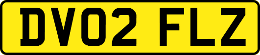 DV02FLZ