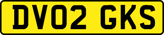 DV02GKS