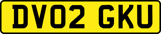 DV02GKU