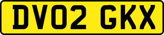 DV02GKX