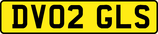 DV02GLS