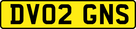 DV02GNS