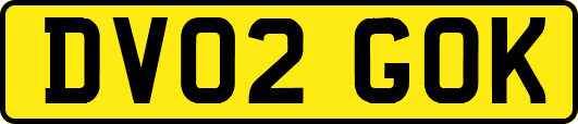 DV02GOK