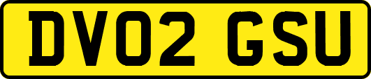 DV02GSU