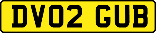 DV02GUB