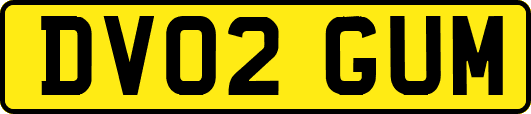 DV02GUM