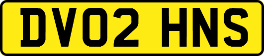 DV02HNS