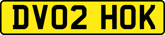 DV02HOK