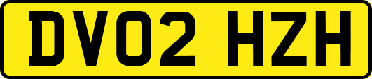 DV02HZH