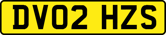DV02HZS