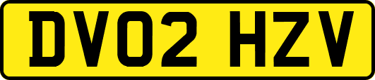 DV02HZV
