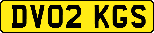 DV02KGS