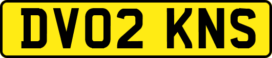 DV02KNS