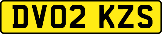 DV02KZS