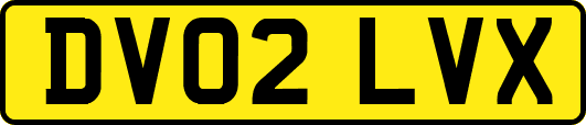 DV02LVX