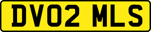 DV02MLS