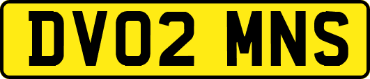 DV02MNS