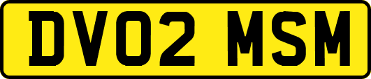 DV02MSM