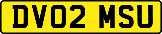 DV02MSU