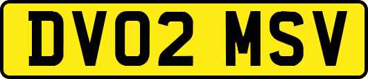 DV02MSV