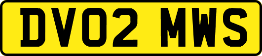 DV02MWS
