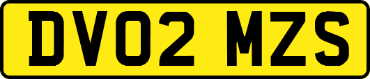 DV02MZS