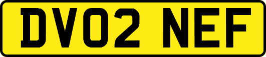DV02NEF