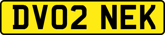 DV02NEK