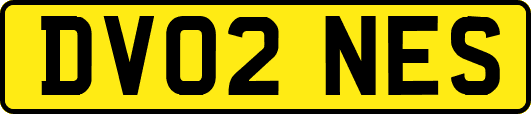 DV02NES