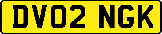 DV02NGK