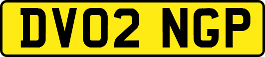 DV02NGP
