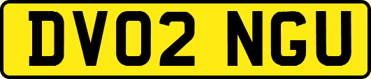 DV02NGU