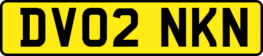 DV02NKN