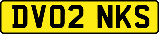 DV02NKS