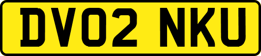 DV02NKU