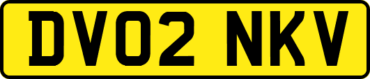 DV02NKV
