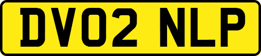 DV02NLP