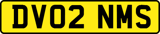 DV02NMS