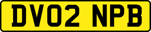 DV02NPB