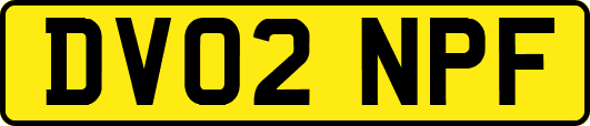 DV02NPF