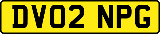 DV02NPG