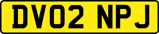 DV02NPJ