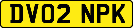 DV02NPK