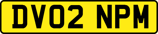 DV02NPM